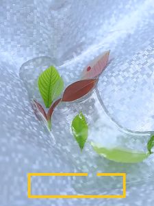 Bạc trùm che phủ xe máy MYT Bạt che xe máy chống thấm cao cấp Áo trùm xe máy che nắng che mưa hai lớp dày