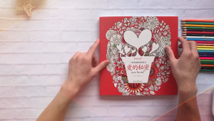 6 style Korea JAPAN SECRET Japans Secret +Animal Kingdom+Love Secret+Adult Leisure and Entertainment Decompression Coloring Coloring Book Graffiti Picture Book动物王国+韩国/日本的秘密成人休闲娱乐减压涂色填色书涂鸦绘本多莉公主涂色书儿童填色本少女涂鸦绘画本