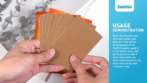 BUY 1 TAKE 2  Gout Patch for Rayuma Foot Hand and Joint Knee Pain Uric Acid Promote Blood Circulation Gout Treatment Pain Relief Improve Sleep Patch 8PCS/BOX