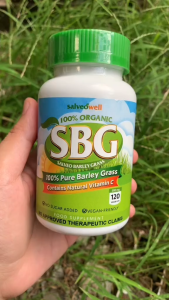 Salveo Barley Grass 500mg Capsules 120pcs | Organic Pure Barley Grass with Natural Vitamin C | Supports Immunity Digestion Energy Detox & Overall Wellness