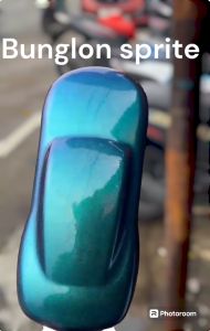 Cat Costum Bunglon Sprite Blue Cat motor mobil Special Effect