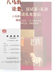 BAMA TEA | Aged 10 Years Premium Anxi Tieguanyin Oolong Tea Gift Box