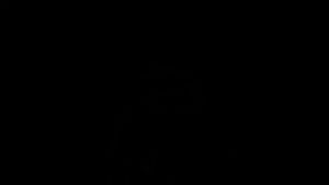 FAST DELIVERY Digipounds Timbangan Perhiasan dan Emas Mini Digital Multifungsi Akurat 200g 0.01g