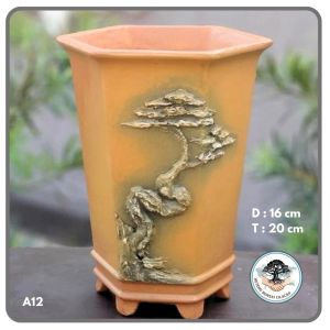 Pot Bonsai Semen Tinggi Unik