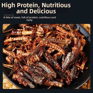 Crispy Fried Grasshoppers Ready-to-eat