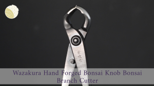 Wazakura Hand Forged Knob Bonsai Branch Cutter (210mm) MADE IN JAPAN New ErgonomicPrecision Cuts with Minimal DamageNew ErgonomicHandcrafted by Skilled Artisans bonsai cutter bonsai branch cutter bonsai toolsjapanese bonsai tools