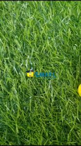 (1BIJI)JOYKO LEM GLUE STICK GS - 15