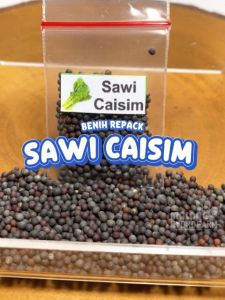 Benih Sawi Caisim Unggulan & Bakso Hijau Berkualitas