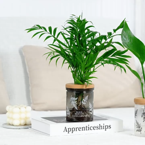 Modern Planters Hydroponic Flower Pot Decoration Transparent Plant Pots Tabletop Creative Garden Pots Home