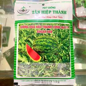 [ Gói 20gr] Hạt Giống Dưa Hấu Thành Long Lai F1 SUGAR 688 520 Hạt kháng bệnh than thư