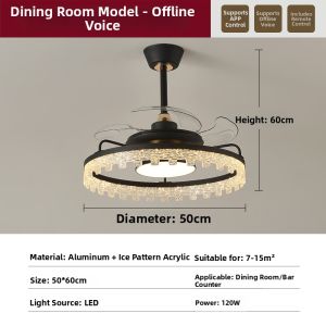 Aiskdan | Modern Minimalist Luxurious Ceiling Fan Light