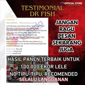 Vitamin Ikan Lele Agar Cepat Besar