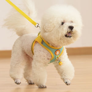 Small Dog Vest-Style No-Choke Leash