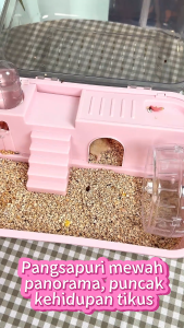 Hamster Cage Double clear pet cage panoramic view cage Hamsters Cage with Running Wheel Water