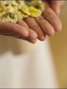 เก็กฮวยตราเสือ น้ำหนัก 250 กรัม 菊花金豹 แก้ร้อนใน