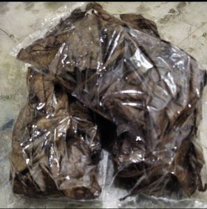 Daun ketapang Laut olahan pekat 30gr