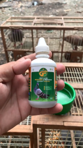 Suplemen herbal agar burung tetap sehat dan kuat - Flow Bird