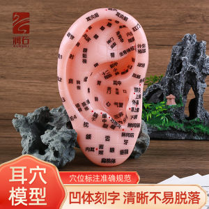 Ear Acupoint Model Massager Tool Ear Seed Pen Needle Insertion Tool for Ear Reflex Zone Massage Personal Care Health Equipment