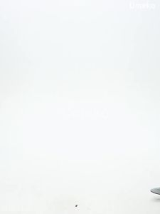 umeverb | Moisture Wicking Slim Fit T-Shirt for Women