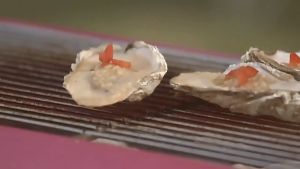 Grill Lipat BBQ Portable Multi Arang Pemanggang Serbaguna Praktis untuk BBQ Outdoor Piknik Kemping