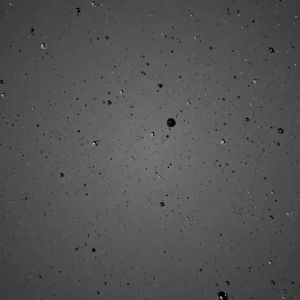 LADY LOOK | Madame Gie Blended Brow Pro Series