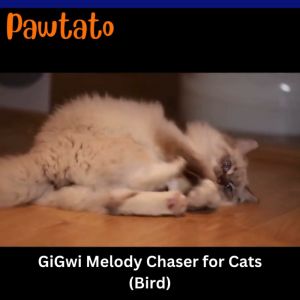 [Official Gigwi Product Dealer] GiGwi  Melody Chaser Motion Sound Activate Teaser Toy for Cats Kucing Cat Toy [100% Original]