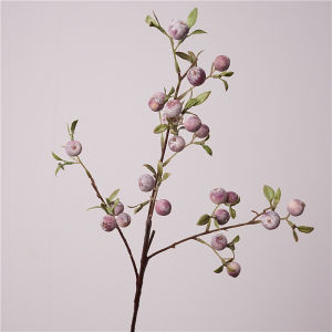gardening fruit ornaments long branches with frost small apples fun plants Christmas festive flower arrangement customization