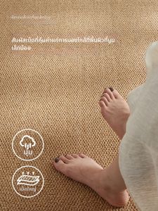 BULULOM | Waterproof Easy Clean Carpet Door Mat