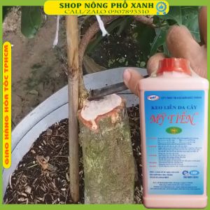 Keo Mỹ Tiến Keo Liền Sẹo Liền Da Cây chai lớn 1kg