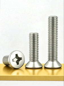 BAIRUITE | Stainless Steel 316 Flat Head Cross Screws