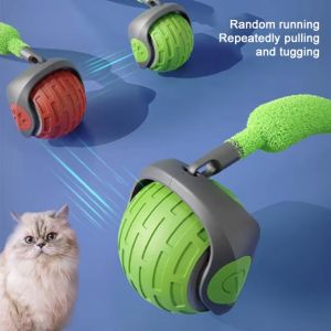 X-RAYSTORE19E0 อัตโนมัติอัตโนมัติอัตโนมัติ ของเล่นลูกบอลกลิ้ง เครื่องนวดไฟฟ้า กับหาง faux อุปกรณ์เสริมเกมแมว น่ารักน่ารักๆ ชาร์จใหม่ได้ อุปกรณ์สำหรับสัตว์เลี้ยง แมวสมาร์ท