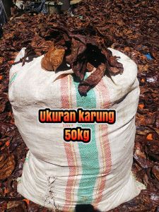 Daun Ketapang laut olah 1 karung