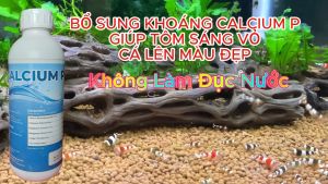 Chai 1L Calcium P Khoáng Cá Cảnh - Bổ Sung Khoáng Chất Cứng Vỏ Lên Màu Sáng Vảy Cho Tôm Cá Rùa Ốc