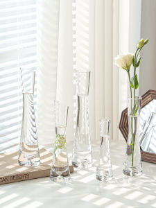 Modern Minimalist Glass Flower Vase Luxury Small Diameter Transparent Mini Living Room Fresh Flower Hydroponics Dining Table Decor