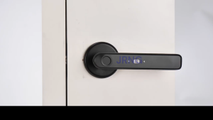 Tuya Smart Digital HDB Bedroom Door Lock - [No Drilling Onsite Installation 1-Year Warranty]