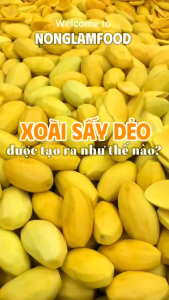 [5 túi tặng 1] Combo 5 Xoài Muối Ớt Sấy Dẻo NONGLAMFOOD Hàng Chuẩn Xuất Khẩu Trái Cây Sấy Dẻo Đồ Ăn Vặt Túi 100g