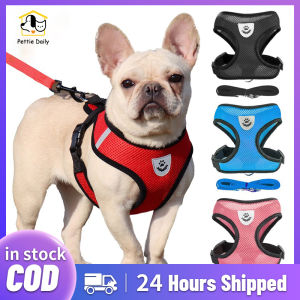 Pet Leash Harness Set: A Comprehensive Guide