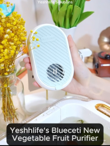 Yeshhlife High Quality Reliable Portable Fruit Vegetable Meat Washing Purifier Wireless Pesticide Disinfection -Strong Battery Thin & Easy to Apply