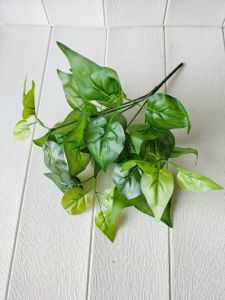 daun group k6 import ecer