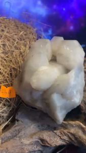 Cụm đá Thạch Anh smoke quartz pha lê trong suốt phong thủy năng lượng vũ trụ mã 434