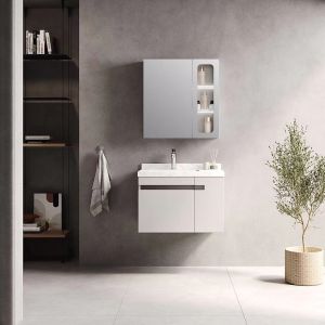 Bathroom Use Integrated Basin Vanity