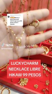 LUCKY Charm Earrings Money Catcher Coin Stainless Charm necklace free Earrings