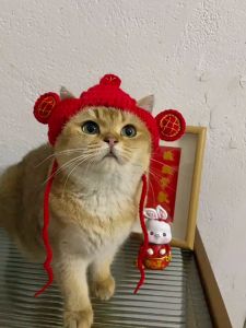 MADDIE หมวกไหมพรมถักน่ารักและตลกสำหรับสัตว์เลี้ยง หมวกสิงโตแดงเทพเจ้าแห่งความมั่งคั่งสำหรับวันตรุษจีน HHMPS01320