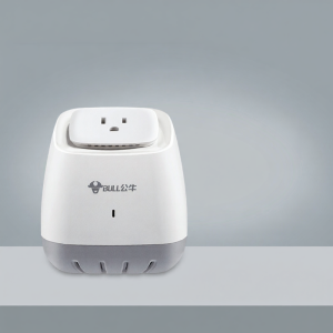 Bull | Voltage Converter Power Socket Adapter 110V 220V