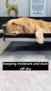 Tempat tidur hewan peliharaan anti-dermatosis tempat tidur mesh tempat tidur anjing tahan lembab