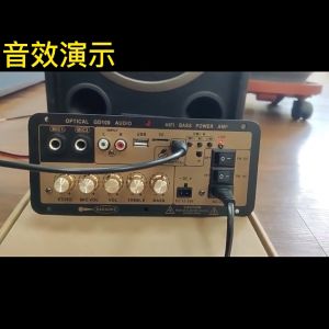 🇵🇭 1200W 220V 12V 24V Bluetooth Optical Fiber Audio Input Amplifier Board Karaoke Digital HiFi Stereo Subwoofer Dual Mic Amplifier