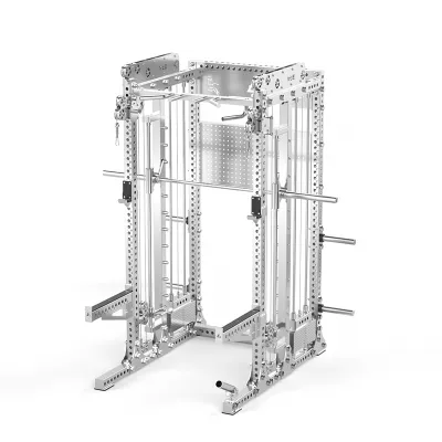 DAQIJIAN | Stainless Steel Multi-purpose Strength Training Cage Smith Machine Squat Rack