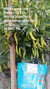 VERNO FG 100 GR | Pupuk Mikro Zink dan Tembaga | Pengendali Tanah Asam dan Pirit