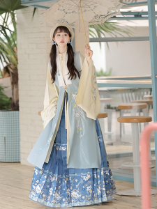 Original Ming Dynasty Hanfu Womens Long Shirt Collar Stand-up Zipper Face Skirt Autumn Winter New Style Polyester Fiber