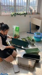 Indoor Rectangular Vegetable Herb Planter Box Shatterproof Drain Hole Design Flower Pot Windowsill Planter Box Garden Supplies